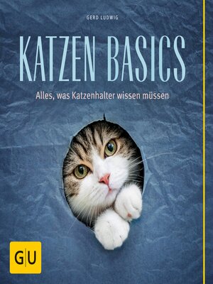 cover image of Katzen-Basics